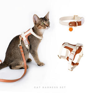 Arnés de perro personalizado de alta calidad Correa de cuello de cuero cómodo de estilo de moda de Pakistán con MOQ bajo - Product Image 1