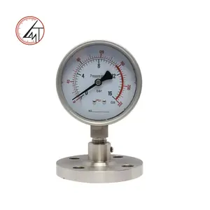 Fast Delivery Clamp Type Sanitary Pressure Gauge Diaphragm-seal Manometer