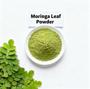 Порошок листьев моринги Longsheng, пищевой, 99% чистоты, вытяжка из растений методом экстракции растворителем, сертифицирован Халяль, производство фабрики - Product Image 1