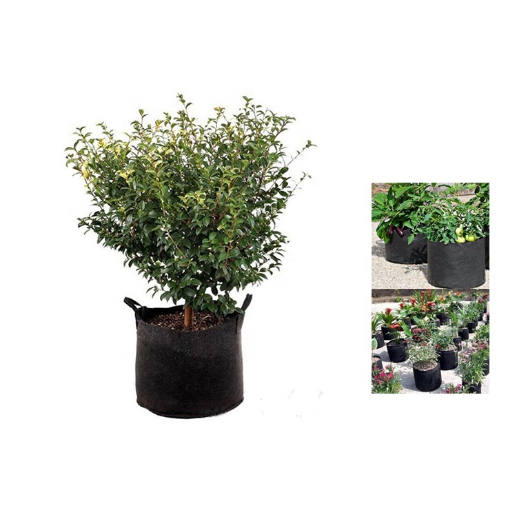 New Arrival Plant Grow Bags 20
