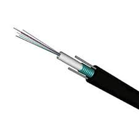 GYXTW 6 8 24 48 Core Armadura de cinta de acero Armadura de alambre de acero Aérea UG Cable de fibra óptica barato para exteriores