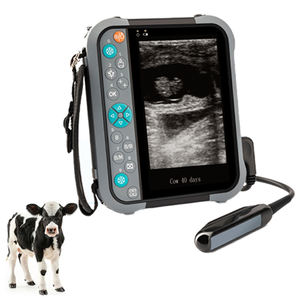 Dierenarts Diagnostisch Ultrasone Systeem Kleur Doppler Veterinaire Transducer Echografie Machine Scanner - Product Image 5