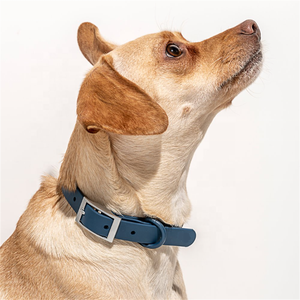 पीवीसी कुत्ते कॉलर और पालतू <span class=keywords><strong>Leashes</strong></span> दोहन सेट आउटडोर नरम निविड़ अंधकार एडजस्टेबल तेज साफ करने के लिए आसान - Product Image 3