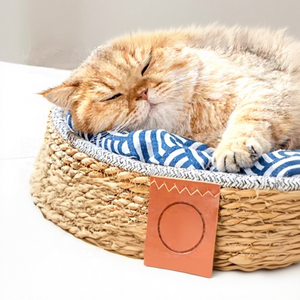 Breathable and Comfortable 2026 Summer Pet <strong>Cat</strong>&amp;Dog <strong>House</strong> Sleep in Hot Days - Product Image 3