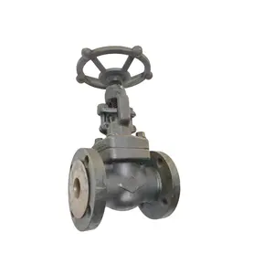 Flanged A105 Manual Gate Valve Forged Steel 150LB American Standard Custom Gate Valve