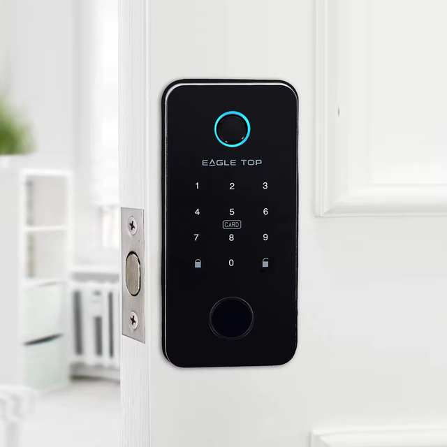 Top Selling Door Keyless Lock Smart Lock for Glass Door Smart Lock for Office Security