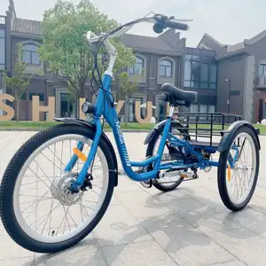 MEIGI Schneller Versand Elektrische Dreiräder China Erwachsene USA LAGER Dreirad Elektro fahrrad Trike Für Fracht lieferung