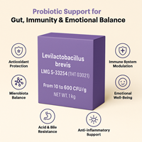 Poudre Probiotique Premium THT Belgique Levilactobacillus Brevis 10 à 600 UFC g Ingrédient en Vrac Lyophilisé Souches Certifiées OEM