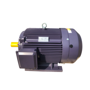 มอเตอร์ไฟฟ้าเหนี่ยวนำแบบอะซิงโครนัสสามเฟสจากโรงงานจีน - Product Image 5
