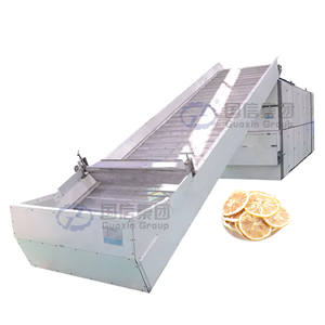 OEM High quality Lemon slices mesh belt <b>drying</b> <b>equipment</b> Wide variety fruit processing fruit slices dryer - Product Image 1