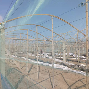 <span class=keywords><strong>Filet</strong></span> <span class=keywords><strong>anti</strong></span>-insectes résistant aux mailles en plastique HDPE + UV pour serre chaude - Product Image 5