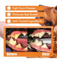 Spray buccal pour animaux de compagnie, chiens et chats, formule naturelle à base de plantes, sans alcool, soin dentaire pour chiens et chats, rafraîchisseur d'haleine, nettoyage des dents, en stock