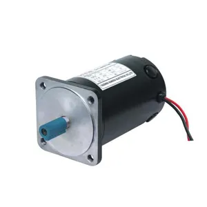 12v 24v fırçalanmış dc motor 80W 100W 200W 250W 300W PM DC motor