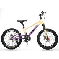 Vélo VTT pour Garçons, Vente Chaude, Vente en Gros Usine, Grand Vélo Enfant 20/22 Pouces pour Enfants de 7, 8, 10, 11 à 12 Ans.