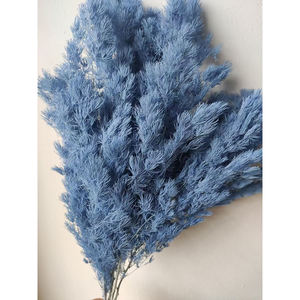 Fermoirs séchés en parapente couleur blanche, 1 pièce, vente en gros d'usine - Product Image 5