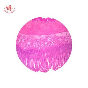 Microscopio deslizante con sistema para el cuidado de la piel, Set de 15 artículos para el cuidado de la piel - Product Image 2