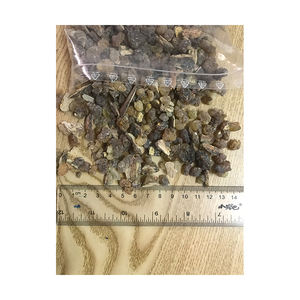 Venta al por mayor de resina de Olibanum Goma de incienso de alta calidad Goma de Olibanum de grado sudanés resina de incienso medicina herbaria - Product Image 2