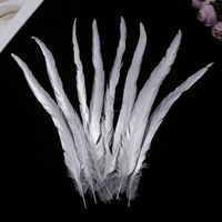 Plumes de coq dorées et argentées de 35-40 cm (14-16 po) de bonne qualité pour la danse, la décoration et le bricolage - Prix usine
