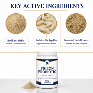 Poudre Probiotique <span class=keywords><strong>pour</strong></span> Pigeons – Bactéries Vivantes <span class=keywords><strong>pour</strong></span> le Conditionnement Intestinal et le Soutien Digestif des Pigeons de Course et de Vol – 500g OEM - Product Image 2