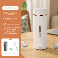 Bouilloire Électrique Portable Universelle en Acier Inoxydable 300W pour Voyage et Usage Domestique, Protection Anti-Ébullition à Sec, Garantie 1 An