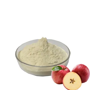 High Quality Apple Powder Apple Juice Powder Apple Fruit Powder