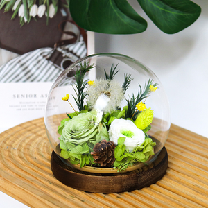 Diente de León Preservado, Flor <span class=keywords><strong>Eterna</strong></span>, Regalo Hecho a Mano, Adornos Creativos, Cumpleaños, Romántico, Novia, Bola de Cristal, China, Inmortal - Product Image 3