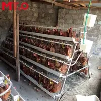 Cage de couveuse industrielle, 1,5 automatique, pas cher, pour la mise à niveau de bacs à poulet