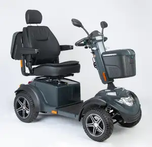 Grand scooter de mobilité électrique tout-terrain de luxe puissant R9S