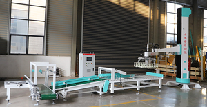 Precio de fábrica Máquina paletizadora de una sola columna Paletizador automático/Robot apilador para paquetes de cajas de bolsas Robot paletizador - Product Image 2