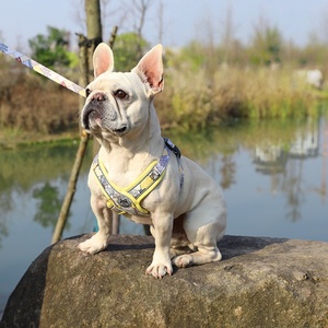 Harnais d'entraînement anti-traction pour animaux de compagnie 2026 HOT, durable, avec fermoir sécurisé, gilet réfléchissant haute visibilité, ensemble harnais et laisse pour chien - Product Image 3
