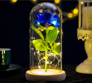 Stringa di Luce a Led Fiore Artificiale Fiore di Rosa Regalo Immortale Del Fiore Micro Paesaggio della Rosa di Simulazione di Vetro Ombra Romantico Regali Unici - Product Image 2