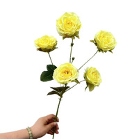 Flores Artificiales de Seda, Rosas de Té de 5 Cabezas, Rosas Parisinas para Decoración de Bodas, Pasillos, Fondos y Paredes; Calidad de Exportación