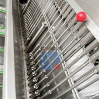 Offre Spéciale ligne de production de bonbons gommeux doux de petite capacité entièrement automatique ours bonbons gommeux faisant la machine
