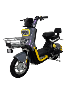 Vélo Électrique 1000W pour Adultes, Quad 2000W, Phares 2022, pour Femmes, 28 Pouces, Remorque Pédicab, 40Km/H, Meilleure Vente - Product Image 1