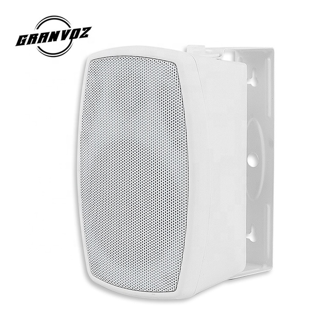 New Product 5.25 Inch Audio System Sound Loudspeaker Public 40W Wall Speaker