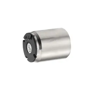 Faradyi özelleştirilmiş şartname 3V 6V 12V 16mm fırçalanmış çekirdeksiz DC Motor kolu