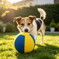 Housse de ballon de yoga et de Pilates de forme originale, nouvelle conception, pour chien et cheval