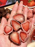 Krokante chocolade bedekte verse fruit aardbei gelaagde snoepjes kant-en-klaar ijsjes doos