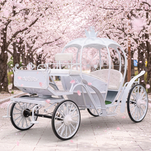 Articles de mariage électriques de luxe Cendrillon : Chariot de Cendrillon en métal sans chevaux et sans roues, et chariot de princesse, articles de décoration à vendre - Product Image 1