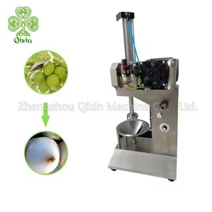 Giá tốt nhất hoàn toàn tự động màu xanh lá cây dịu dàng dừa vỏ da cắt máy lột - Product Image 5