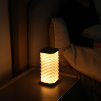 Nouvelle Lampe LED Pliante Tendance 2026, Lampe Verticale Accordion, Lumière Blanche Chaude pour Lecture, Chambre et Bureau, Alimentation par Batterie, Offre Spéciale