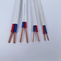 Guda Großhandel Massivkupferkern PVC-Isolierte Elektrokabel, Flachkabel mit zwei Adern und Erdung, Weiß