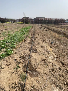 16mm flessibile PE agricoltura <span class=keywords><strong>tubo</strong></span> di gocciolamento <span class=keywords><strong>per</strong></span> le verdure <span class=keywords><strong>irrigazione</strong></span> a goccia sistema di <span class=keywords><strong>irrigazione</strong></span> a goccia tubi del <span class=keywords><strong>tubo</strong></span> - Product Image 6