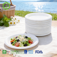 Assiettes jetables en amidon de maïs résistantes à l'huile de 9 pouces, emballage en vrac, écologiques, pour la vente en gros, fournitures pour restaurants et fêtes