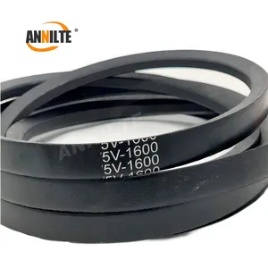 Annilte Type A/B/C/D/E/F/Z Transmission Adjustable Industrial Rubber V Belt