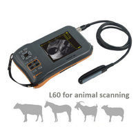 Alat Kehamilan Hewan Ternak BMV Farmscan L60 untuk Babi, Sapi, Kuda, dan Hewan Besar Lainnya