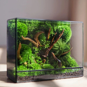 Ventilated Rectangular Glass Terrarium <strong>Tank</strong> with Metal Frame Reptile Habitat <strong>Gecko</strong> Enclosure or Indoor Plant Display - Product Image 1