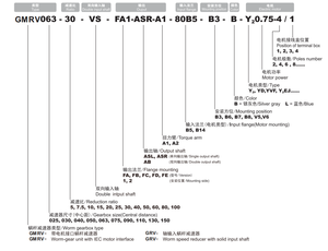 GMRV 110 boîte d'engrenages à vis sans fin à couple élevé de grande taille avec <span class=keywords><strong>bride</strong></span> d'entrée B5 - Product Image 3
