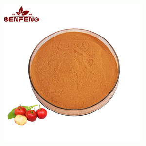 Polvo de Extracto de Bayas de Espino de Alta Calidad, Polvo de Fruta de Espino Instantáneo Natural - Product Image 1