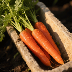 ผงแครอทเกรดอาหารสำหรับเปลี่ยนอาหารสำหรับการอบและลดน้ำหนัก - Product Image 5